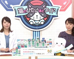 tvk猫のひたいほどワイド　８月のテーマは、災害時の健康維持に重要なお口のケアです！